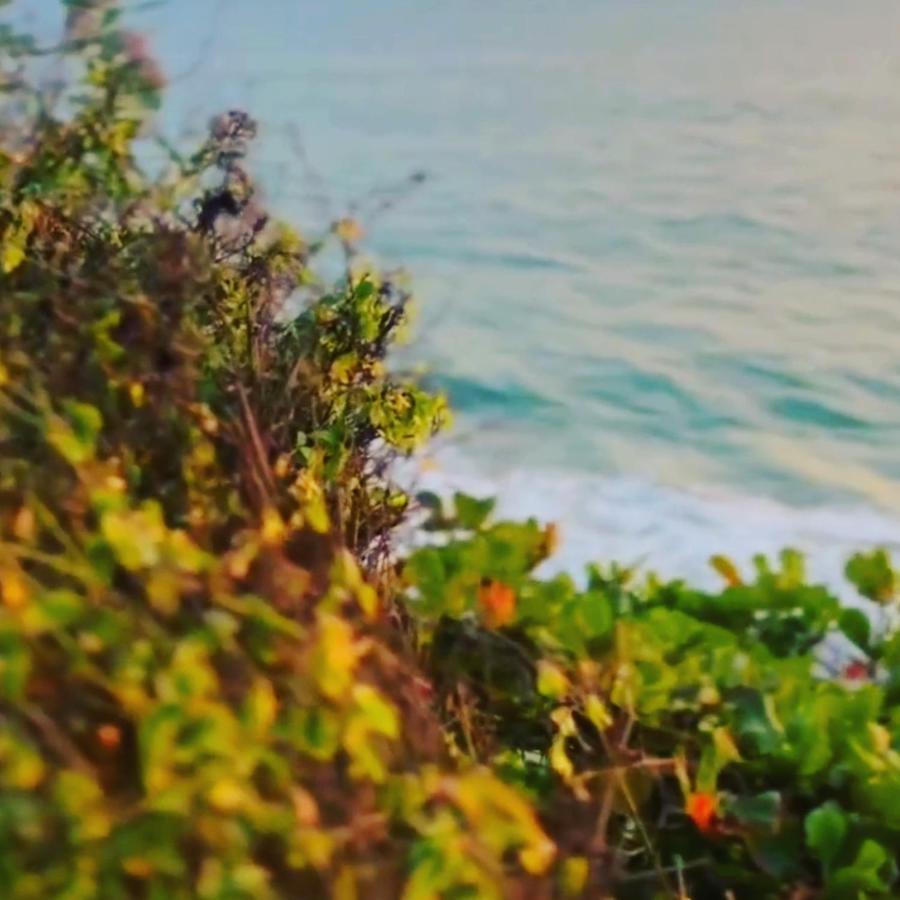 Theertha Homestay Varkala Buitenkant foto